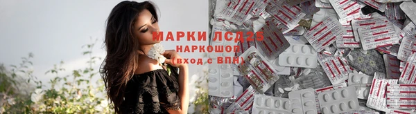 ПСИЛОЦИБИНОВЫЕ ГРИБЫ Алзамай