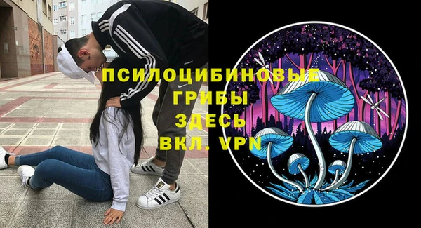ПСИЛОЦИБИНОВЫЕ ГРИБЫ Алзамай