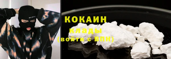ПСИЛОЦИБИНОВЫЕ ГРИБЫ Алзамай