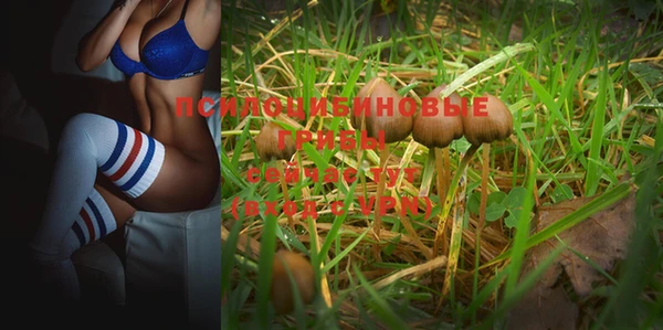 ПСИЛОЦИБИНОВЫЕ ГРИБЫ Алзамай