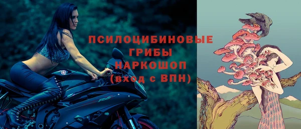ПСИЛОЦИБИНОВЫЕ ГРИБЫ Алзамай